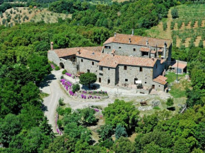 Locazione Turistica Mimosa - Borgo la Civitella